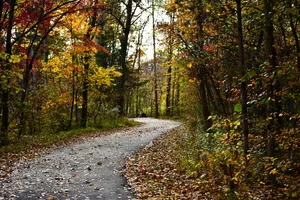 Why Writing in Nature Feels So Healing